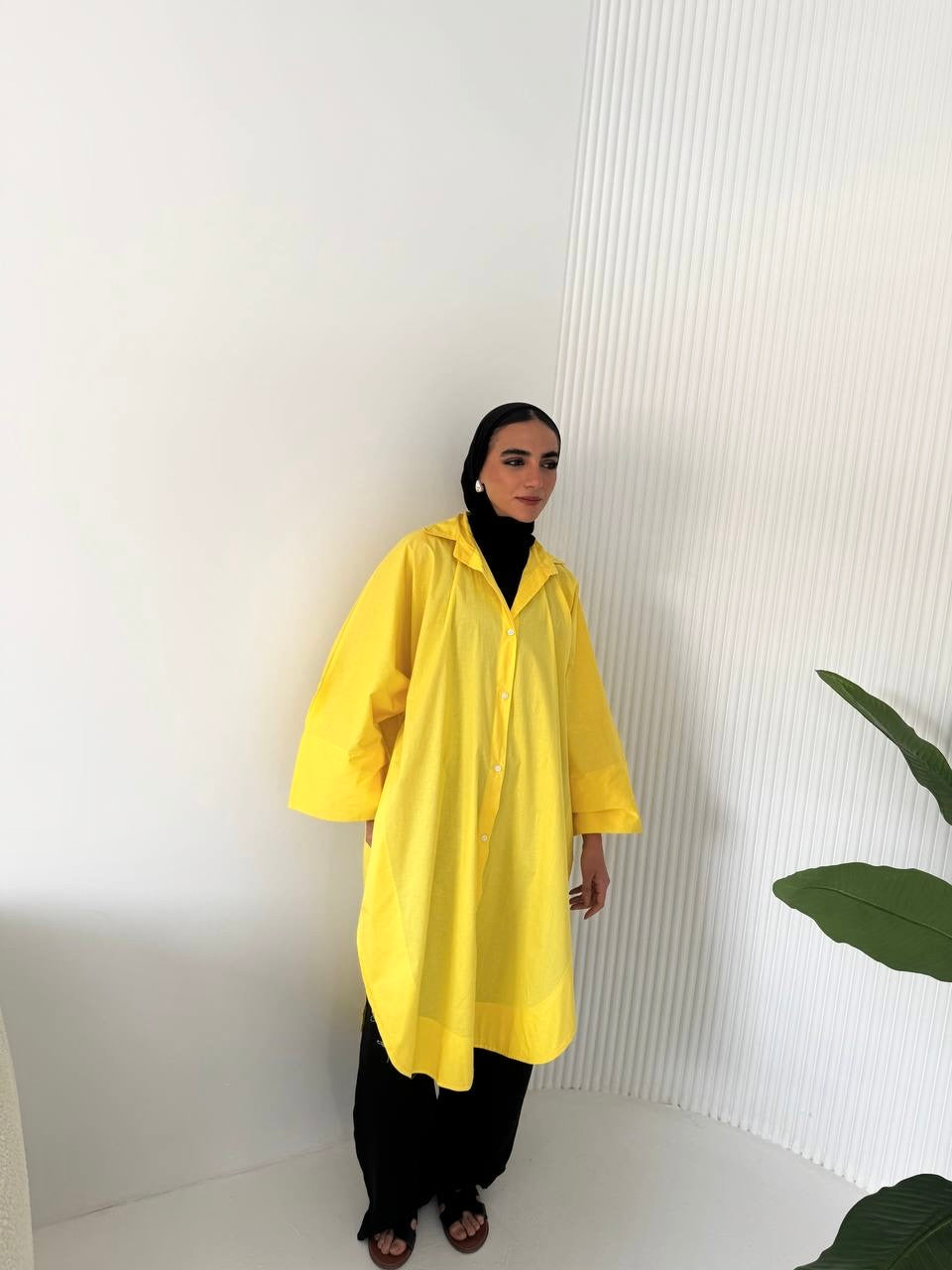 Long Poplin  Shirt