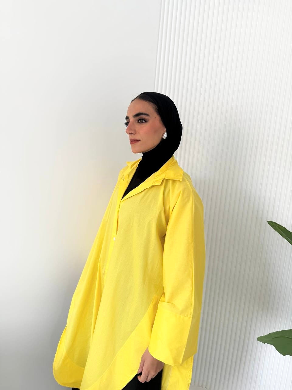 Long Poplin  Shirt